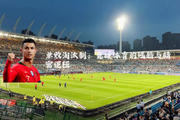 单败淘汰制：竞技体育的残酷与精密逻辑